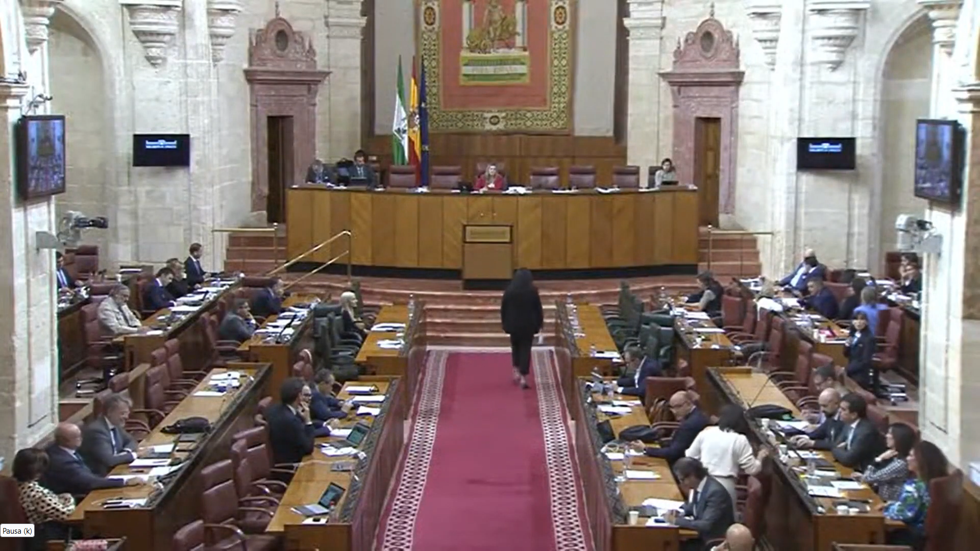 Debate_parlamento_PNLP_Vox.png